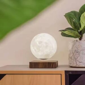 FLOATING MOON (3)